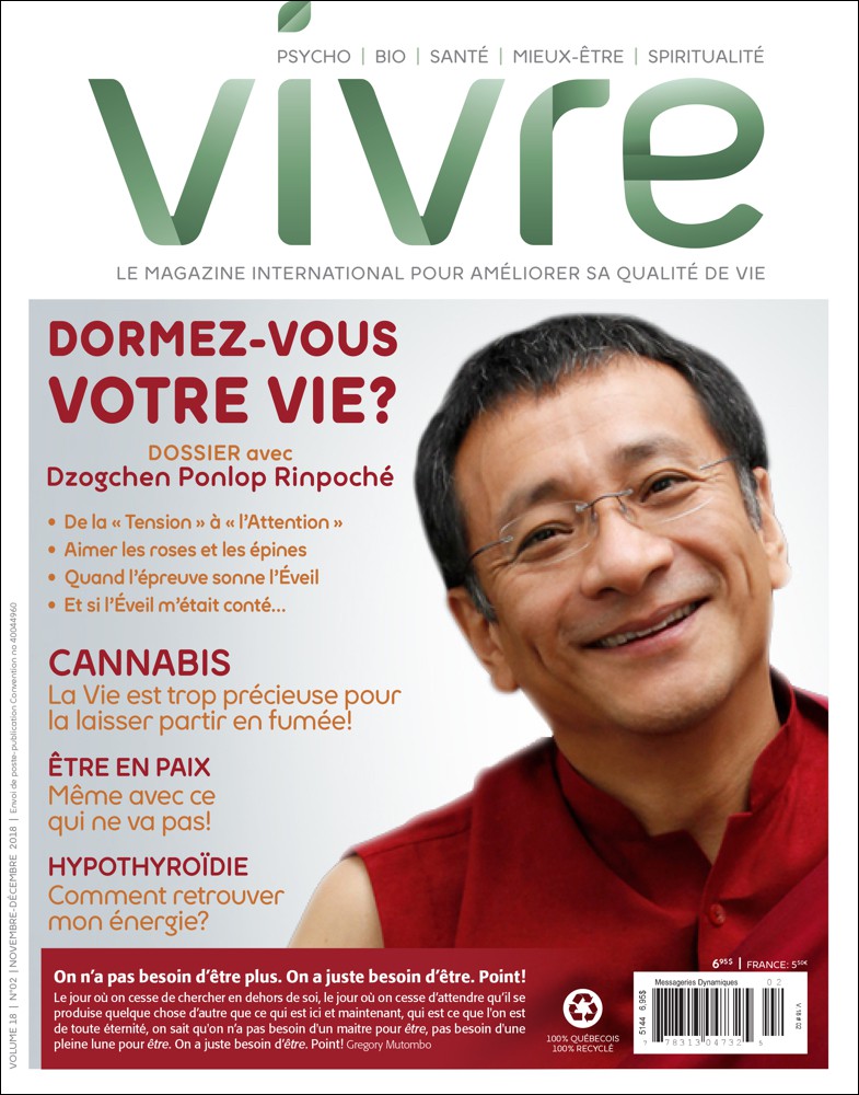 MAGAZINE VIVRE - NOVEMBRE DECEMBRE 2018