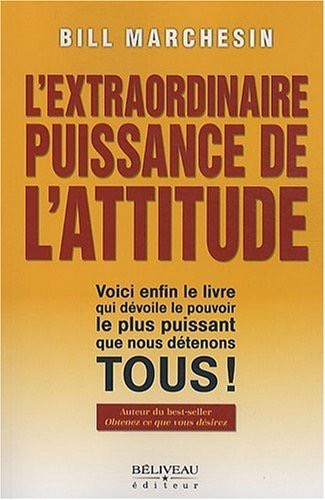 L'EXTRAORDINAIRE PUISSANCE DE L'ATTITUDE - OCCASION
